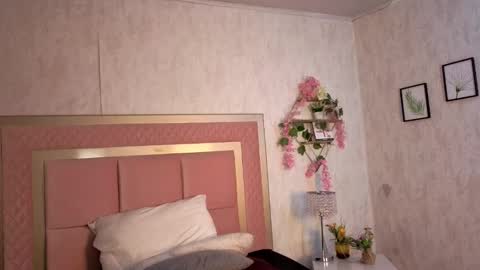 Snapshot of robinbennett chatting on November 2025 12:11:01 PM robin D online show from November 2025 12:11:01 PM