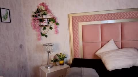 Snapshot of robinbennett chatting on December 2025 12:11:02 PM robin D online show from December 2025 12:11:02 PM