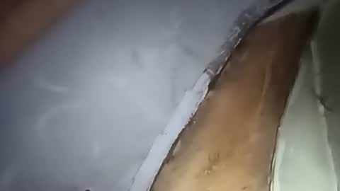 R online show from October 2025 04:29:01 AM