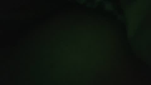 rocce4147 online show from August 2026 04:58:01 AM