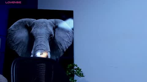 rocco_santos online show from September 2025 10:02:01 PM