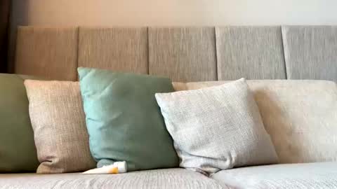 rockboy3000 online show from January 2025 11:55:01 PM