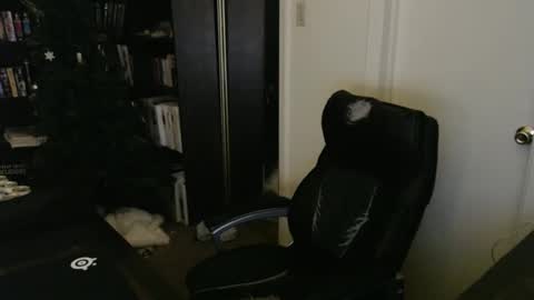 rockydanger online show from February 2026 05:42:01 PM