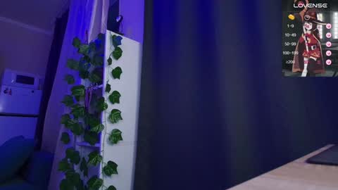 Jane online show from January 2025 07:04:01 AM