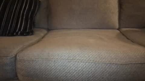 roger59267 online show from November 2025 05:06:01 AM