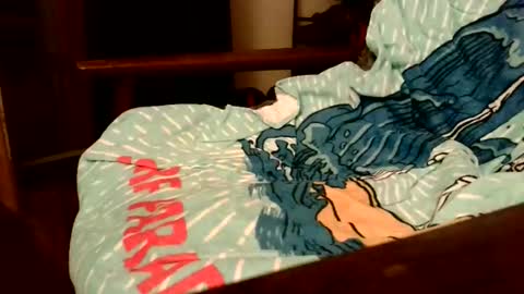 rogerrush online show from November 2025 10:56:02 AM