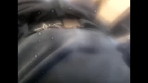 rollino83 online show from November 2025 08:45:01 AM