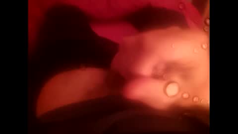 rollino83 online show from December 2025 03:29:01 PM