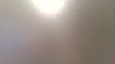 Trinked online show from December 2025 10:31:01 AM