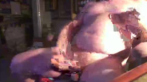 ronnybeee online show from March 2026 07:24:02 AM