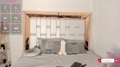 Snapshot of rosannaking chatting on October 2025 08:06:02 PM Aleja online show from October 2025 08:06:02 PM