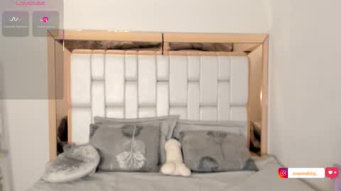 Snapshot of rosannaking chatting on October 2025 08:40:02 PM Aleja online show from October 2025 08:40:02 PM