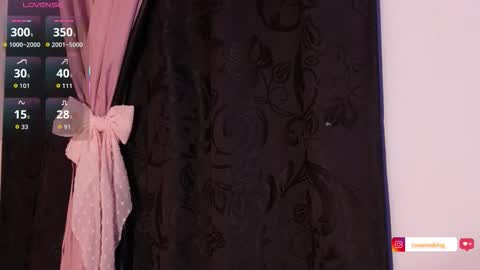 Snapshot of rosannaking chatting on March 2026 01:53:01 AM Aleja online show from March 2026 01:53:01 AM