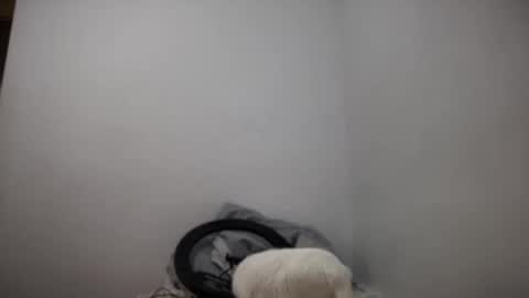 Snapshot of rosea_lune chatting on September 2025 04:41:01 PM rosea_lune online show from September 2025 04:41:01 PM