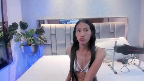 Rose online show from November 2025 04:44:02 AM