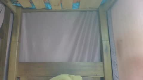 rosia online show from February 2025 01:31:02 PM