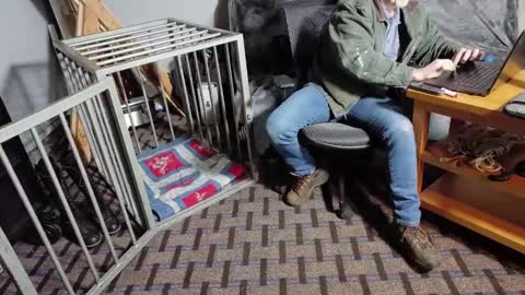 RoughnBootz online show from February 2025 11:37:02 PM