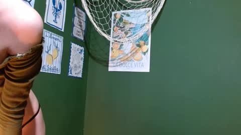 Roxie online show from September 2025 02:26:02 AM