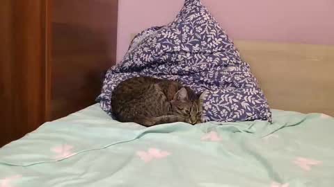 roxy secrets online show from January 2025 06:48:01 PM