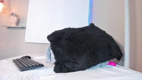 roxy_stone1 online show from June 2026 12:32:02 AM