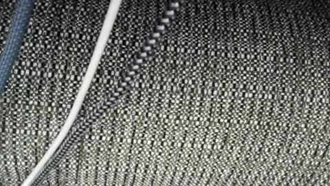 roxylove369 online show from April 2026 02:31:01 AM