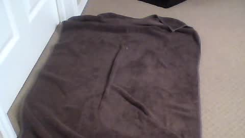 rp4funrp online show from July 2026 02:50:01 AM