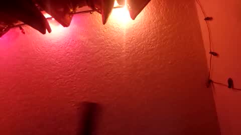 rudy11448 online show from October 2025 07:42:02 AM