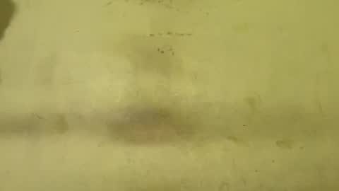 Rupali online show from February 2026 01:32:01 AM