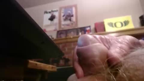 Snapshot of rusty2222991367 chatting on December 2025 05:25:01 AM rusty2222991367 online show from December 2025 05:25:01 AM