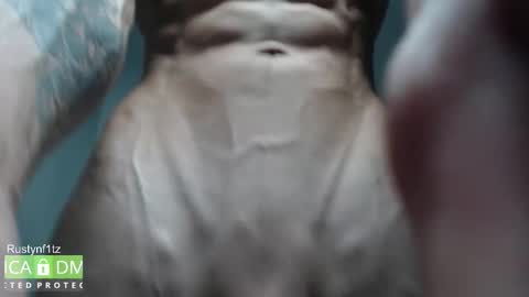 MillionDollarGuy online show from October 2025 05:29:02 AM