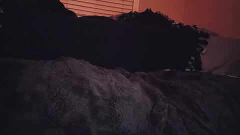 RFC666 online show from November 2025 07:09:02 AM