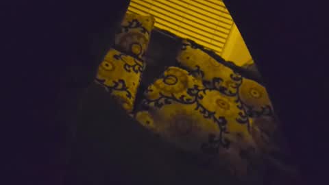 RFC666 online show from February 2026 10:40:02 AM