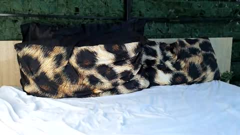 Snapshot of ryanstorm1 chatting on October 2025 10:28:02 PM ryanstorm1 online show from October 2025 10:28:02 PM