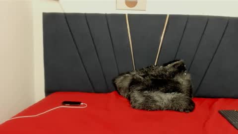 Snapshot of ryder_cum23 chatting on November 2025 03:40:02 AM ryder_cum23 online show from November 2025 03:40:02 AM