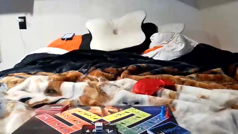 RyTracey2024 online show from January 2025 08:37:02 PM