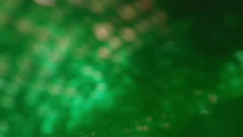 Snapshot of s_sofia_ chatting on January 2025 01:21:01 AM s_sofia_ online show from January 2025 01:21:01 AM