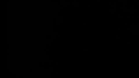 Snapshot of sabrina81_ chatting on February 2026 10:30:02 PM sabrina81_ online show from February 2026 10:30:02 PM