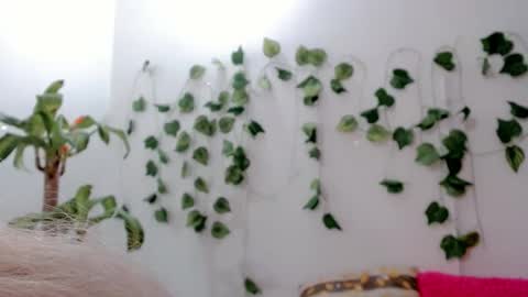 Snapshot of sabrinaexpositoxx chatting on September 2025 05:11:02 AM SABRI online show from September 2025 05:11:02 AM