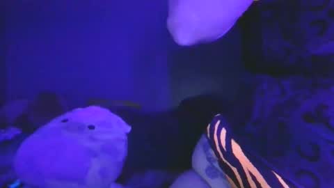 Snapshot of saddybaddie chatting on March 2026 06:09:01 AM saddybaddie online show from March 2026 06:09:01 AM