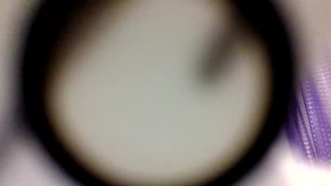 LatinaMamacita online show from February 2026 07:23:01 AM