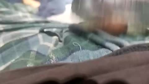 Snapshot of sagozure chatting on October 2025 01:59:02 AM sagozure online show from October 2025 01:59:02 AM