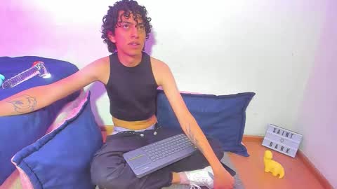 Snapshot of saint_dark chatting on November 2025 01:47:02 PM saint_dark online show from November 2025 01:47:02 PM