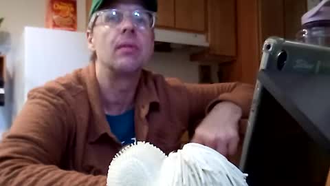 Snapshot of salis1981 chatting on November 2025 07:01:02 PM salis1981 online show from November 2025 07:01:02 PM