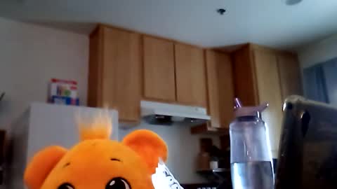 salis1981 online show from February 2026 12:39:01 AM