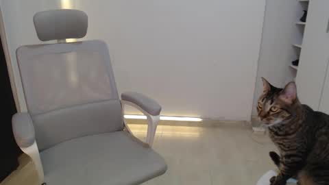 Salome online show from October 2025 03:34:01 PM