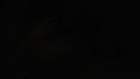 maria online show from March 2026 12:53:01 PM