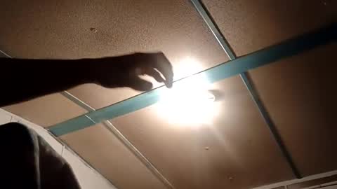 sam44444446 online show from November 2025 10:59:02 PM