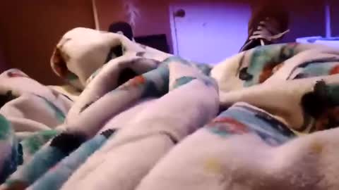 sam44444446 online show from November 2025 09:22:01 AM