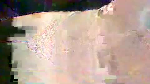 sam5554401727 online show from February 2026 06:28:02 PM