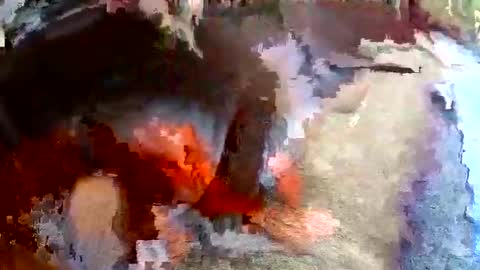 sam681820 online show from November 2025 04:12:02 AM